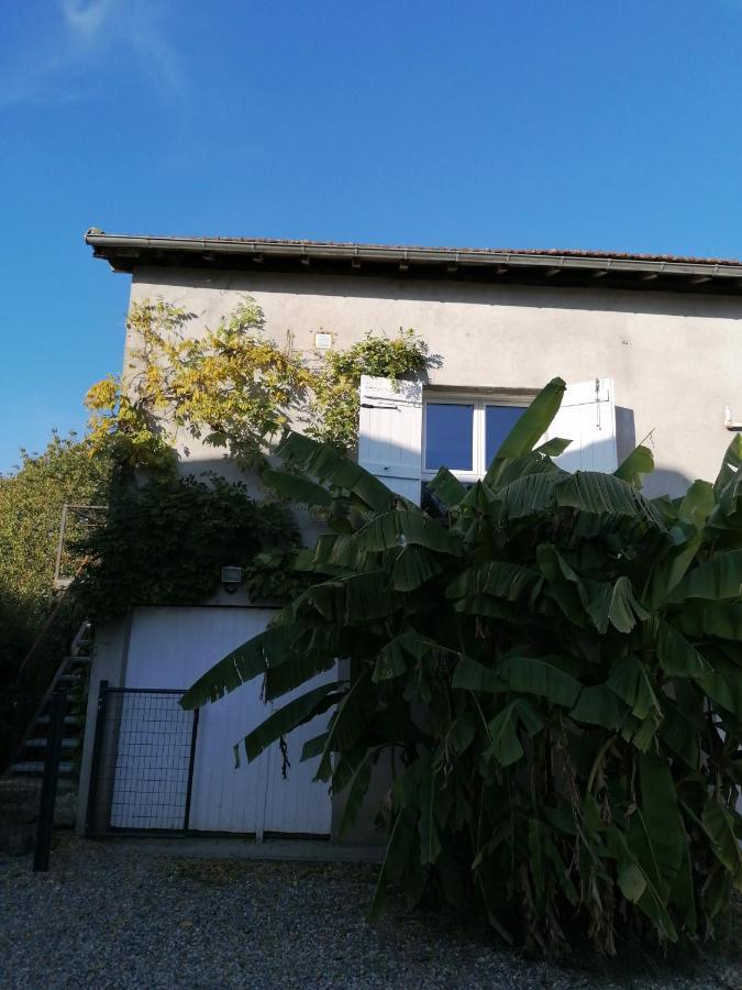 Le Grenier De Gaston Appartement Thouars-sur-Garonne Buitenkant foto